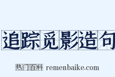 追踪觅影造句是什么意思的图片